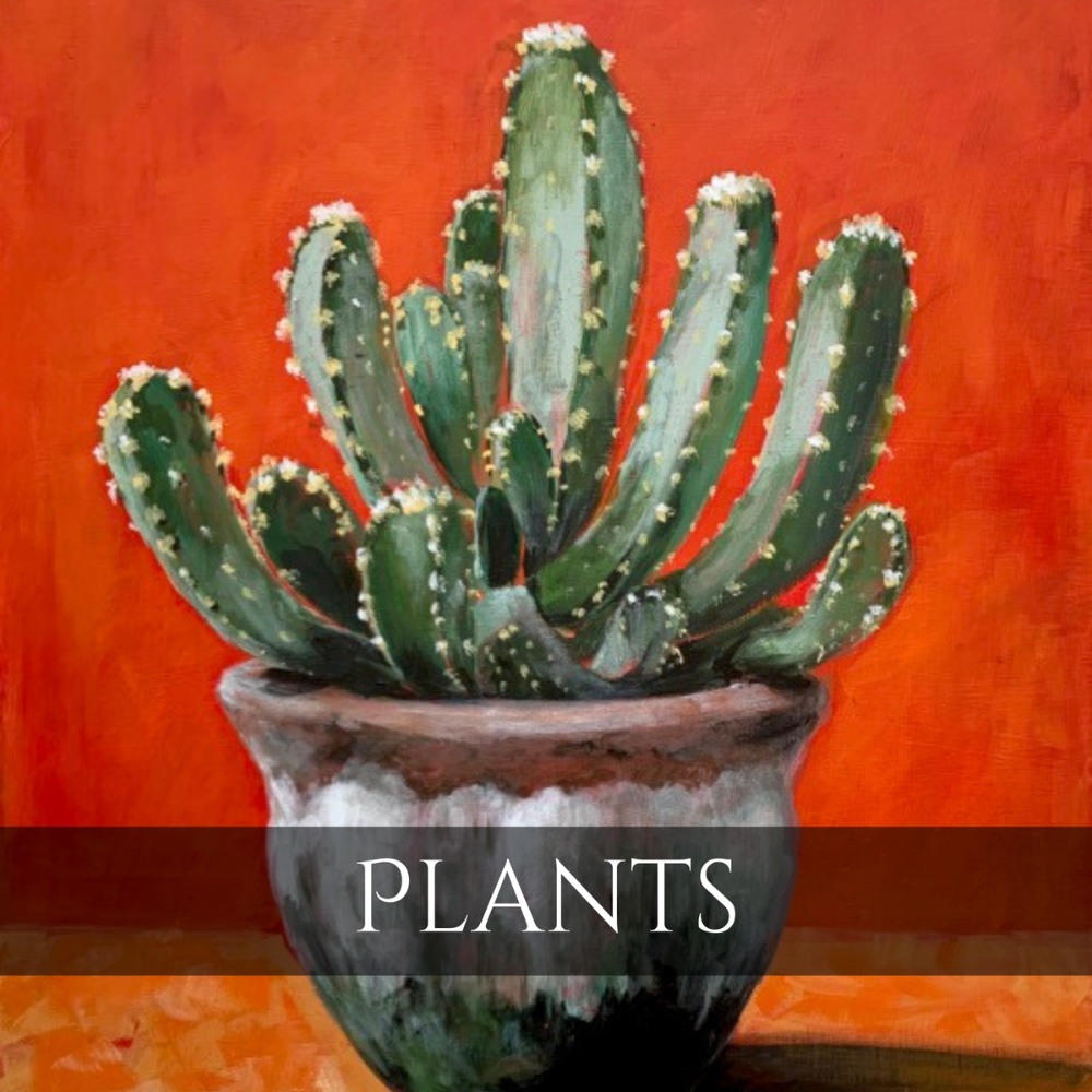 Plants